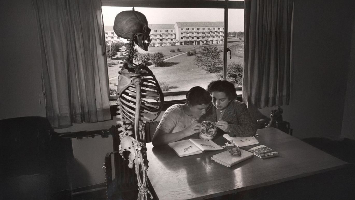 [Translate to English:] 